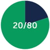 Pie chart with eighty percent green and twenty percent dark blue
