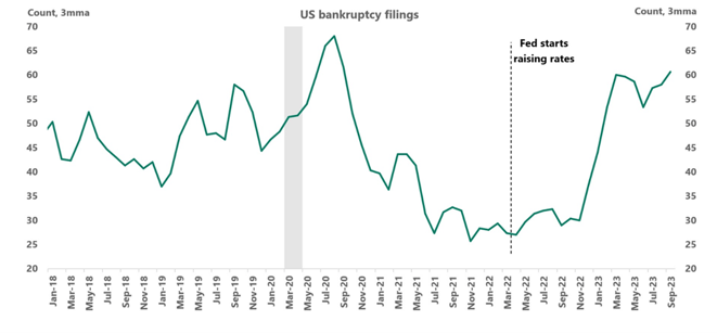 US Filings